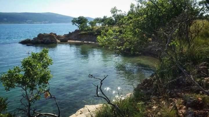 Apartman Pajo Seline Esterno foto